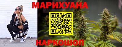 гашик Бузулук