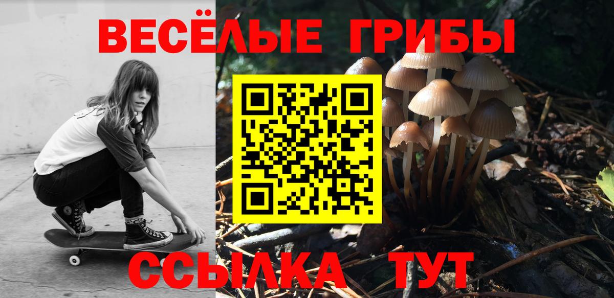 Галлюциногенные грибы мицелий Кудымкар