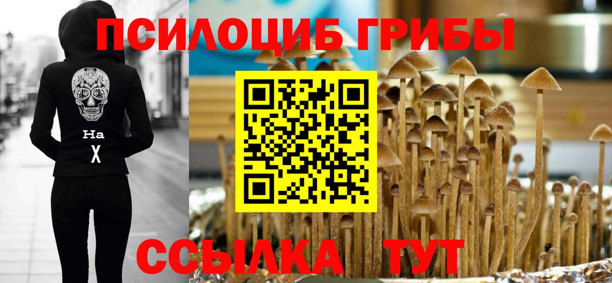 Кудымкар  Псилоцибиновые грибы Cubensis  Вход с VPN 